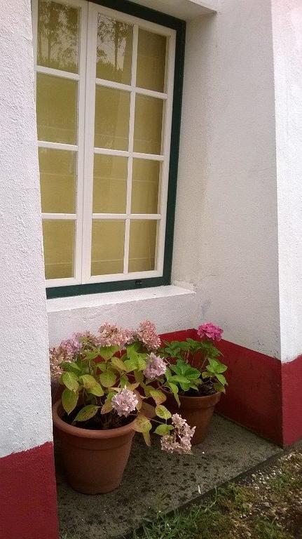 Hostal Monte Da Tojeirinha Montargil Exterior foto